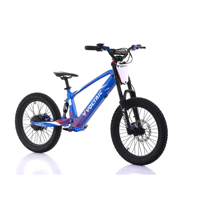 Voltaic Youth Electric Dirt Bike 20'' Flying Fox 48V