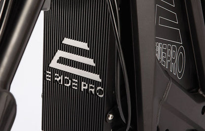 E Ride Pro: SR