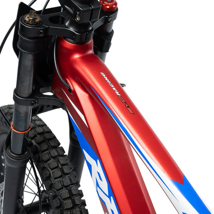 Evo 18 Electric Kids Bike